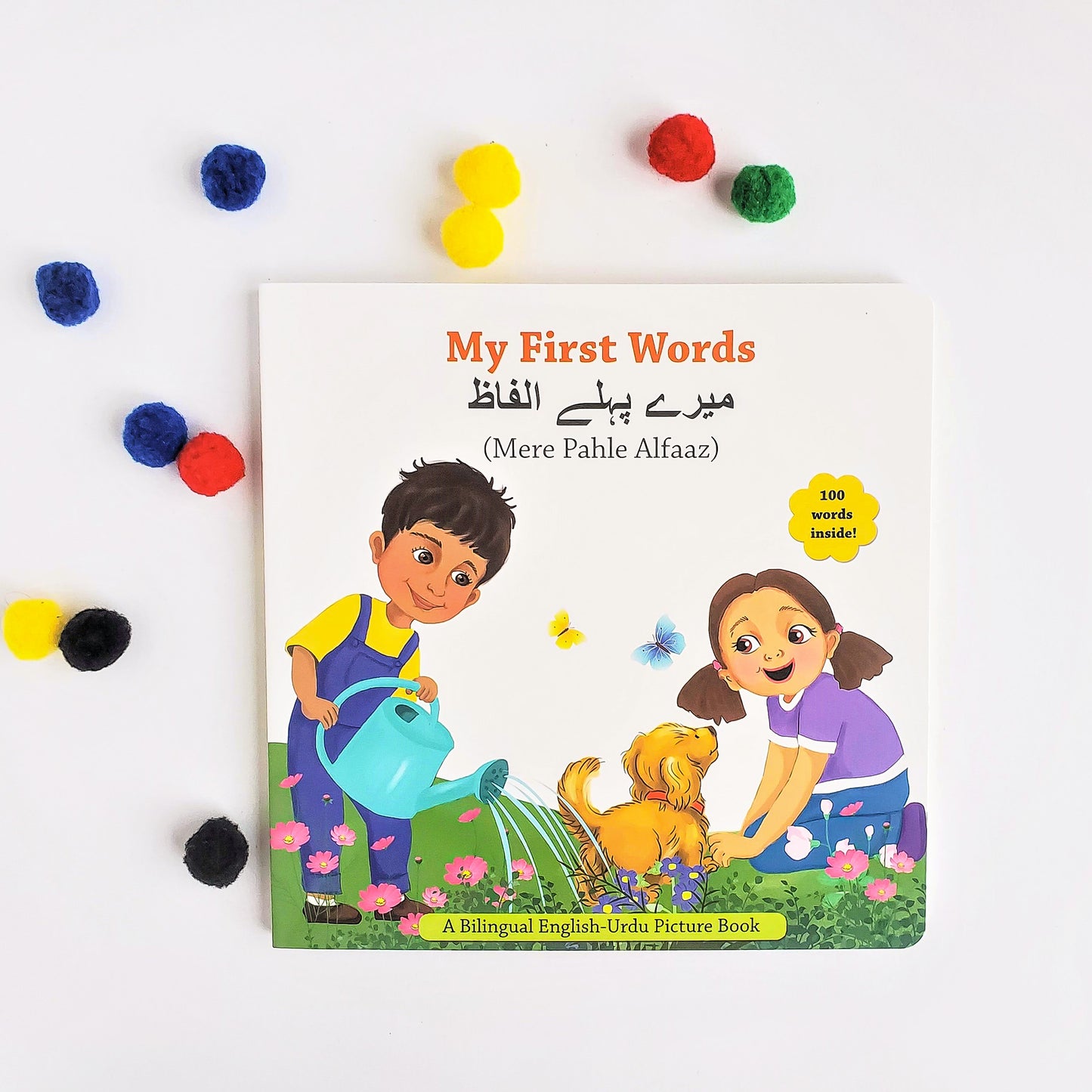Urdu mere pahle alfaaz / my first words board book, learn 100 everyday words in Urdu and English, perfect gift for babies and young children